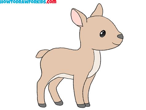 picture  deer drawing  kids