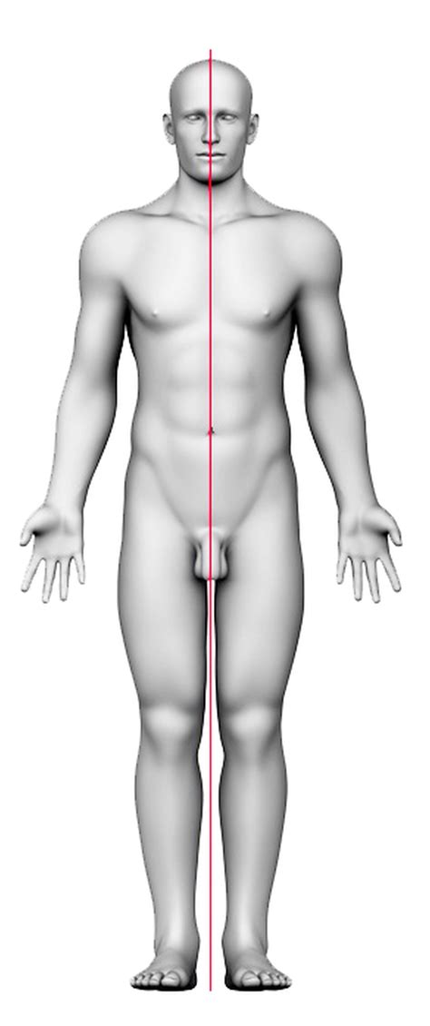 Biomechanika w treningu - Fabryka Siły