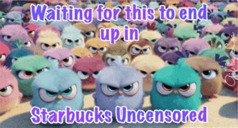 starbucks uncensored gif starbucks uncensored starbucks uncensored