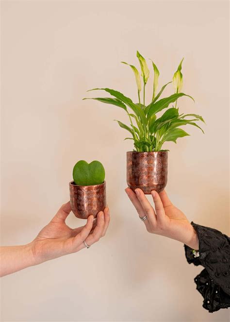 Ivan Metal Plant Pots, Copper – Rebel Plants