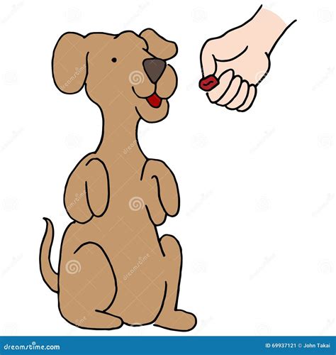 Dog Begging Treat stock vector. Illustration of treat - 69937121