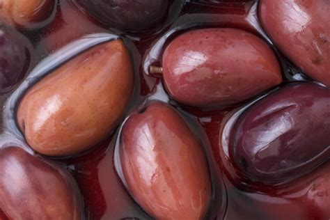 10 Varieties of Fruiting Olive Trees You Can Grow