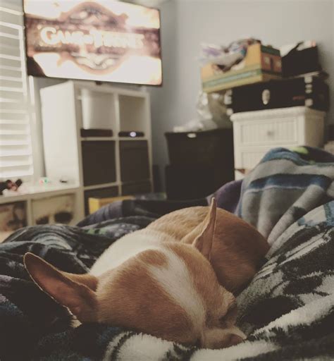 He has ZERO interest... : r/funny