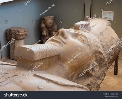 Colossal Statue Ramesses Ii Memphis Egypt Stock Photo 2289233311 ...