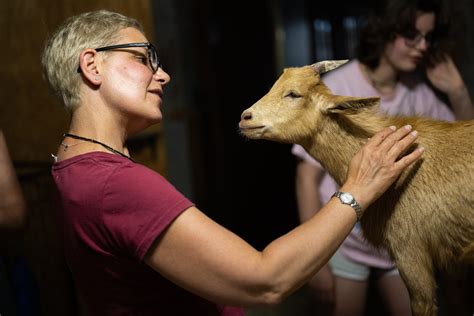 Live Life Lux Events: Rosebridge Farm & Sanctuary, Montgomery County