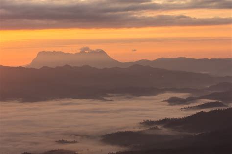 wian images browse  stock  vectors  video adobe stock