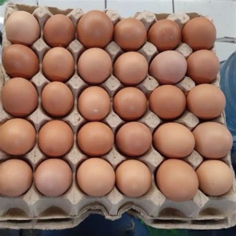 telur ayam negeri fresh super abm store