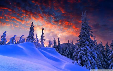 Winter 1920x1200 Wallpapers - Wallpaper Cave