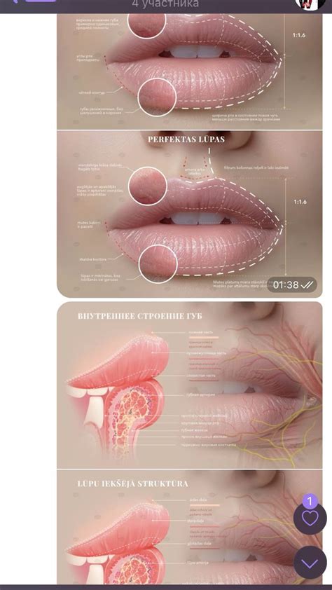 Методичка для перманентного макияжа in 2024 | Facial fillers, Botox ...