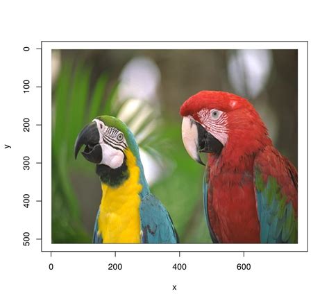 imager: an R package for image processing