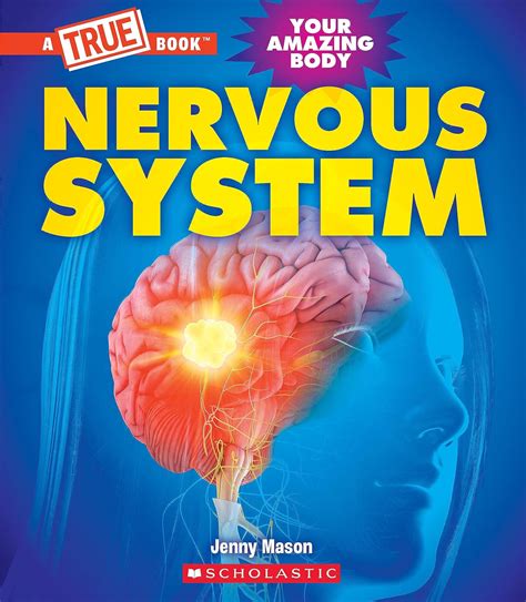 Nervous System (A True Book: Your Amazing Body) (A True Book (Relaunch