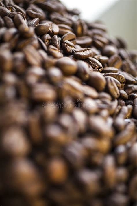 coffee beans close  stock image image  macro drink