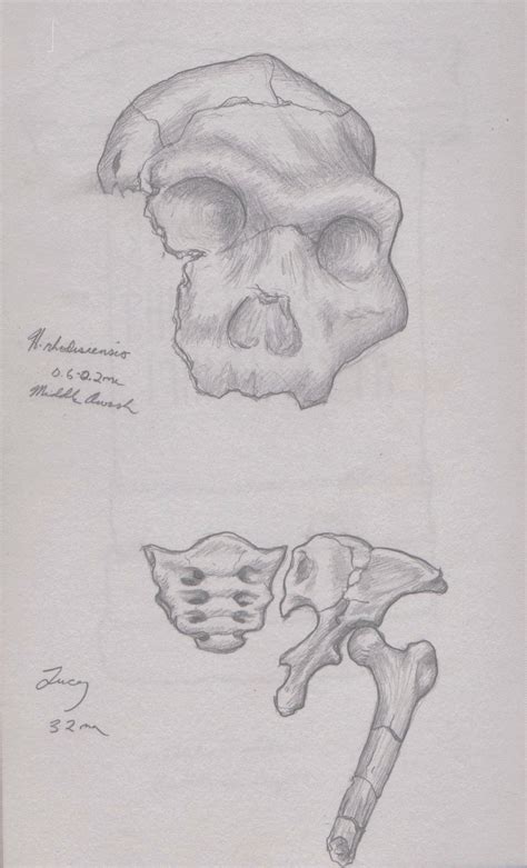 Field Notes: Ethiopia – The Archaeology of Stories