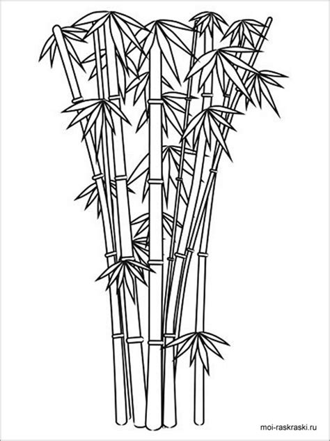 Bamboo Coloring Pages - ColoringBay