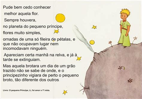 Texto Do Pequeno Principe