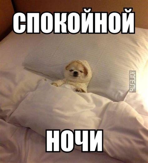 Пин на доске Мемы