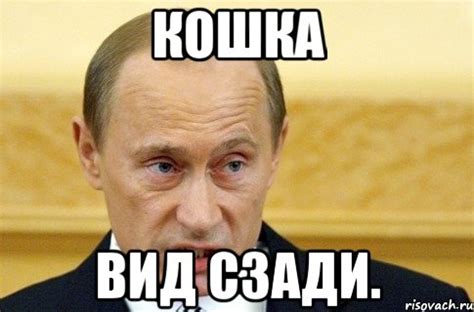 кошка вид сзади., Мем путин - Рисовач .Ру