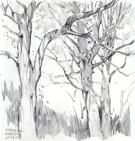 Graphite — Magda Kusowska | Наброски, Эскизы деревьев, Иллюстрации арт