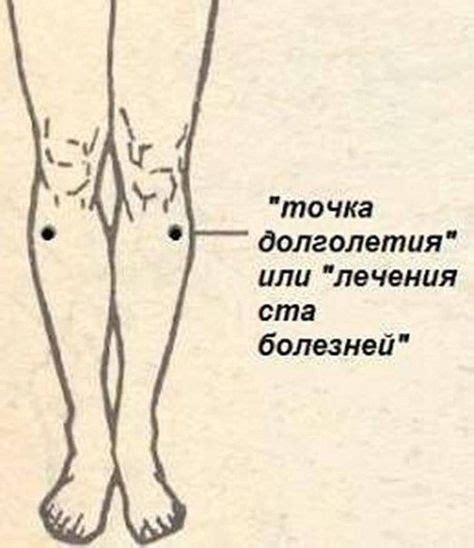 Точка долголетия - под вашим коленом. | Здоровье, Акупрессура ...