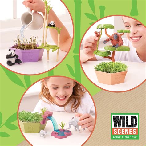 PlayMonster Fun - Grow, Learn, & Play with the NEW Wild...