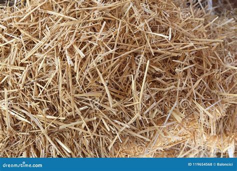 Straw Hay stock photo. Image of rural, agriculture, plants - 119654568