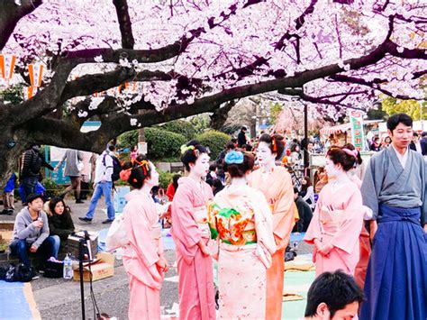 hanami  ueno park   dick thomas johnson flickr