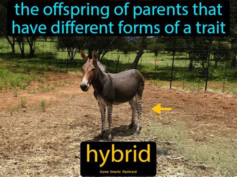 Hybrid - Easy Science | Hybrid games, Easy science, Traits