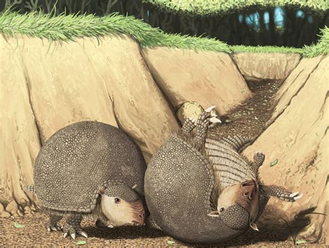 Glyptodon clavipes by Sanrou on DeviantArt