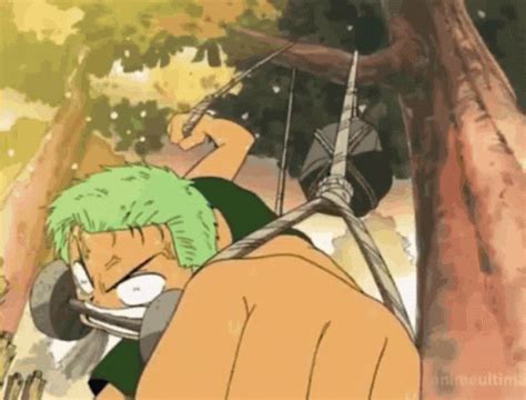 Zoro GIF - Zoro - Discover & Share GIFs