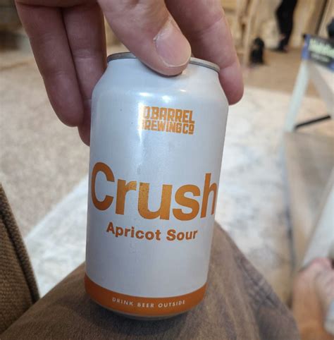 15 Best Apricot Beers to Drink
