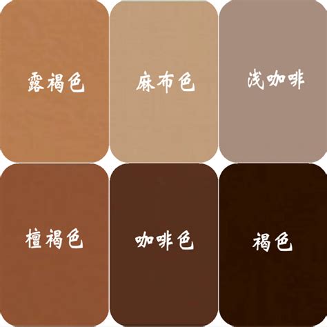 浅咖啡色外墙乳胶漆 防水晴雨漆施工耐候墙面涂料 彩宙品牌哑光调色