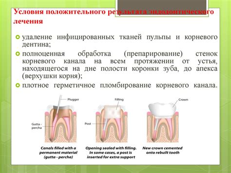 Материалы для пломбирования корневых каналов - презентация онлайн