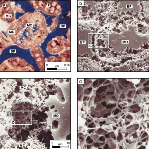 single depositional cycle   arab  sediments