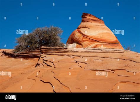 striped rock coyote buttes south vermilion cliffs national monument