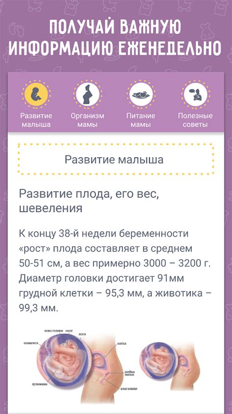 Приложения в Google Play – Календарь Беременности