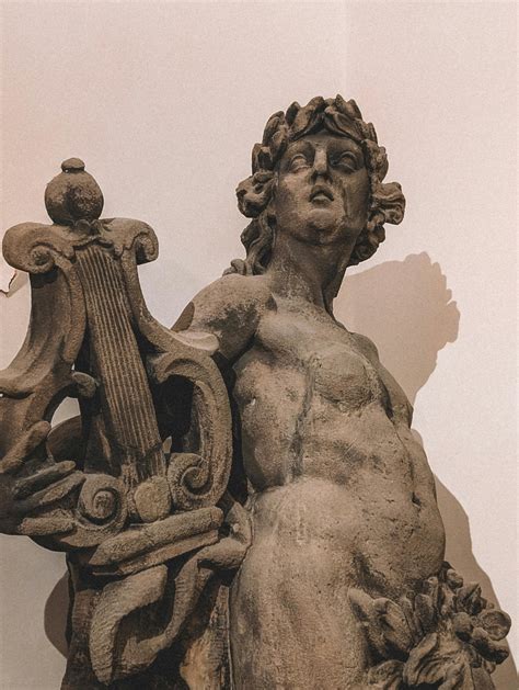 Comatozze+Galleries Photos, Download The BEST Free Comatozze+Galleries