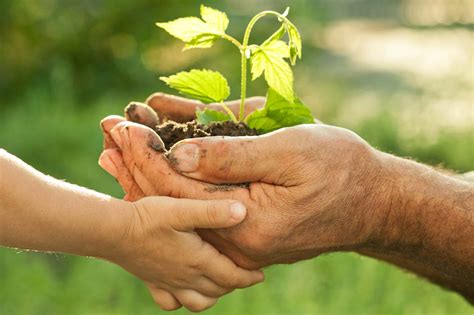 Faire une donation à la Fondation Terre Solidaire