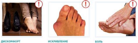 Препарат ортофикс инструкция по применению