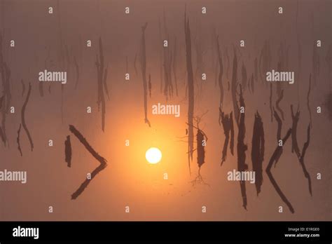 reflection   sun stock photo alamy