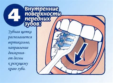 Алгоритм Чистки Зубов - politicalaccuse