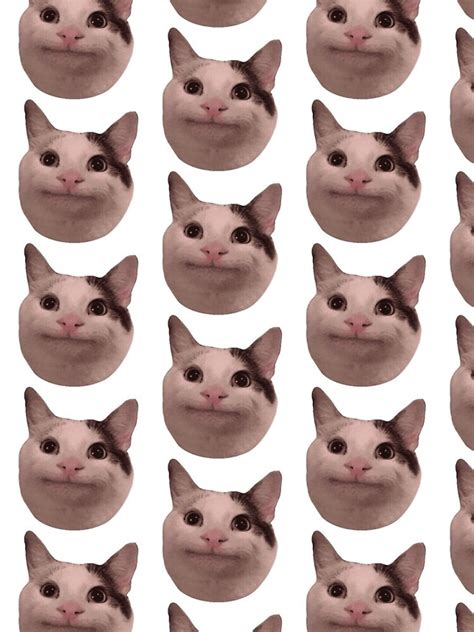" polite-cat-meme-funny-cat-meme-" iPhone Case by allyouneed098 | Redbubble