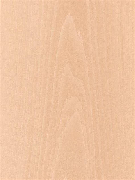 bosnian beech al zaben