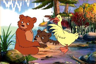 Desenho Do Urso E Os Bichinhos - desenho animado: pequeno urso
