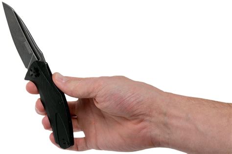 Kershaw Natrix 7007BLKBW pocket knife with assisted opening ...