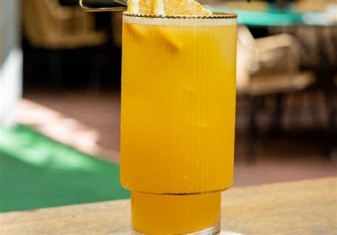 Vodka E Suco De Laranja - Drink de vodka com suco de laranja - Estadão