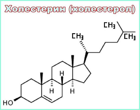 Повышенный холестерин — анализ на холестерин, как снизить без статинов