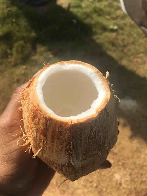 Visit Liberia: Best of Liberia Tourism | Expedia Travel Guide