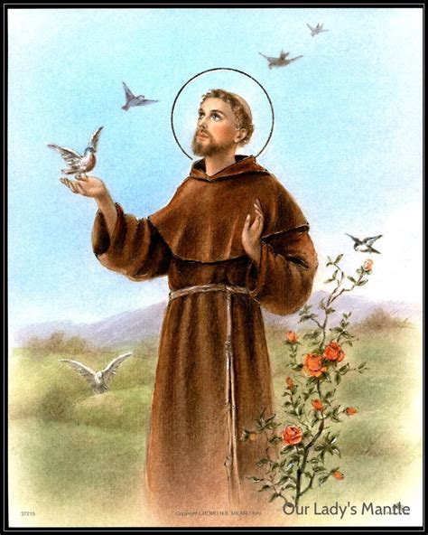 st francis  assisi art print picture st francis  assisi
