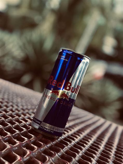 Red Bull JA | Katzen