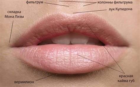 Коррекция объема и формы губ » Салон лазерной косметологии "ЛИЛУ"